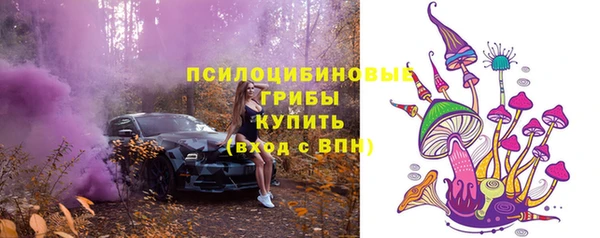 прущая мука Алзамай
