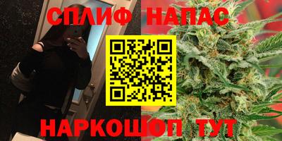 прущие грибы Заволжье