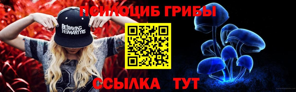Псилоцибиновые грибы Magic Shrooms Минусинск